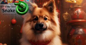 Horoscop chinezesc 2025 pentru nativii zodiei Câine. Predicții astrologice: „Norocul se schimbă, anul aduce oportunități și succes”