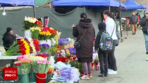 Florăriile din România, aglomerate înainte de 8 Martie. Bărbații au venit cu lista după ei