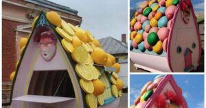 Căsuțele din lemn care au înnebunit Internetul: „De unde le putem cumpăra, nu e păcat să comand din Polonia?”