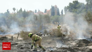 Israelul cere ajutor internațional, din cauza unui incendiu puternic de vegetație. România a trimis deja două avioane