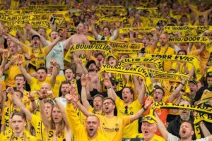 Fanii lui Bodo/Glimt fac orice pentru un bilet la returul cu Tottenham! Schimburi cu delicatese norvegiene și carne de ren: „Cineva a mușcat momeala!”