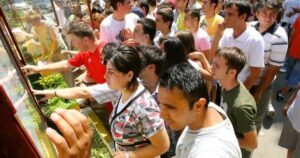 Bacalaureat 2025:  Modele de subiecte la matematică