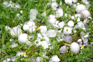 Imaginile dezastrului. Grindina cât oul de porumbel a distrus culturile agricole din mai multe județe / Cod portocaliu de viituri până duminică după-amiaza