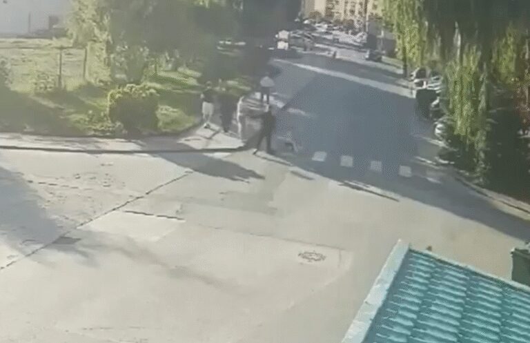 Tânăra de 23 de ani, împușcată în timp ce era cu fetița de mână. Momentul, surprins de camerele de supraveghere