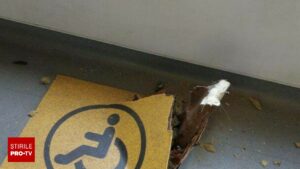 Tragedie evitată prin hazard. O bucată de șină a străpuns podeaua unui tramvai nou din București