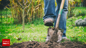 Un bărbat a făcut o descoperire neașteptată în timp ce săpa o groapă într-un sat din Alba