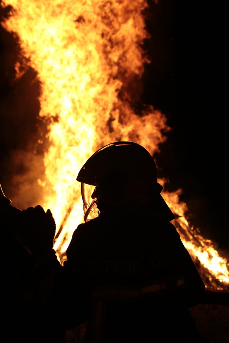 Incendiu devastator într-un ocol silvic din Galați. Ard 5.000 mp de lizieră şi vegetaţie uscată