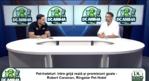 Pleci în concediu și n-ai idee ce să faci cu animalul tău de companie? Robert Caraman are răspunsul / video