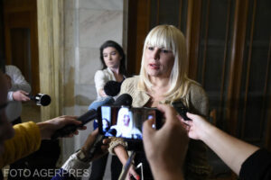 Elena Udrea, internată în spital. Ce spun medicii despre starea de sănătate a fostului ministru