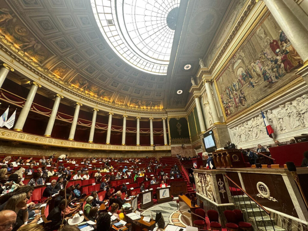 Senatorul Sorin-Mihai Cîmpeanu, voce activă a României la cea de-a 50-a Sesiune a Adunării Parlamentare a Francofoniei de la Paris