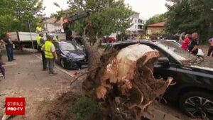 Vijelia a făcut prăpăd în București și Ilfov. O femeie a murit după ce resturile unui acoperiș au căzut peste casa sa