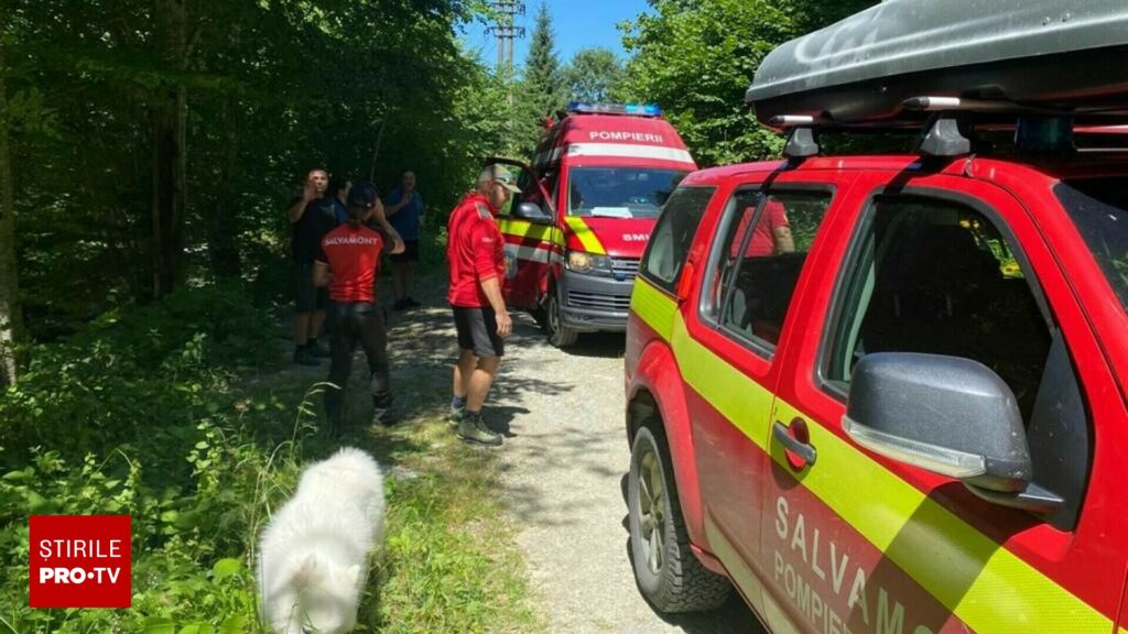 Un tânăr a fost atacat de câini în Munţii Făgăraş. „A fost muşcat foarte grav. Din păcate, căţelul lui a fost omorât”