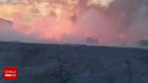 Incendiu de vegetație în Deltă. 25 de hectare de vegetație uscată s-au făcut scrum lângă Mahmudia