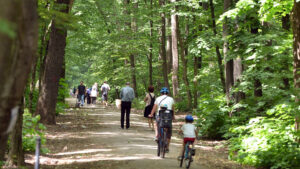 ONG-urile și grupurile civice de mediu îi cer șefului Romsilva să interzică circulația mașinilor în pădurea Băneasa