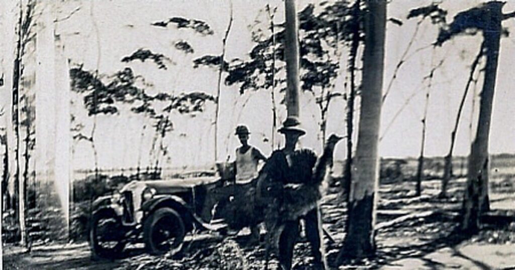 Cele mai bizare și penibile războaie din istoria umanității. Când armatele au fost învinse de păsări și găleți