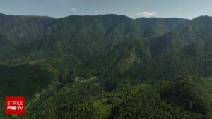 Jumătate din zonele alpine ale Carpaților s-au înverzit în ultimele patru decenii. Fenomenele care au dus la schimbări