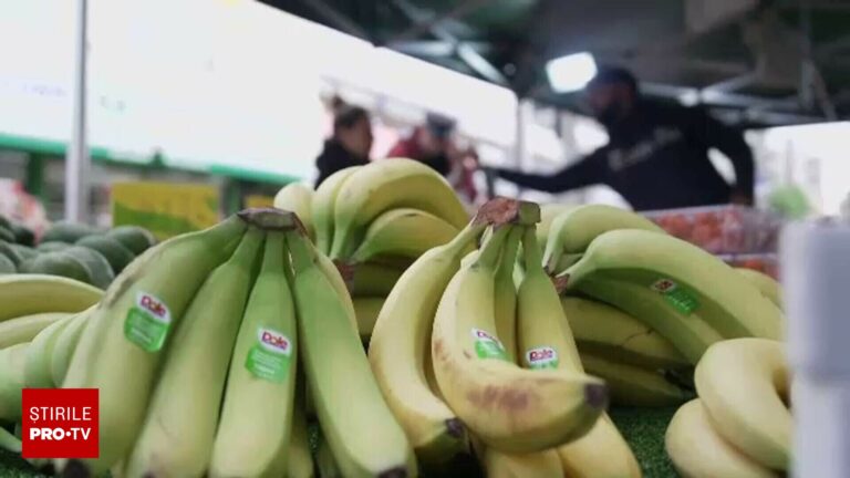 Rusia se pregătește să cultive tone de banane și kiwi roșu. Primele sere sunt deja în construcție
