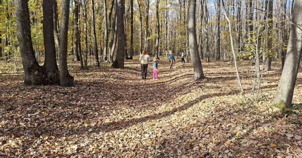 Aromaterapie naturală în inima pădurii. Locul din România unde natura devine lecție și leac