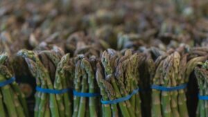 Românii nu mai pleacă la cules de sparanghel. Ministrul Agriculturii: Mii de afaceri deschise în ultimii ani / video