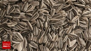 Semințe de floarea-soarelui: superalimentul ieftin care îți aduce energie și sănătate