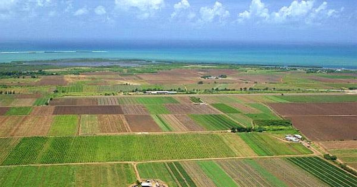 Lovitură pentru agricultori: crește cu 140% baza de impozitare a terenurilor