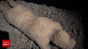 O sută de exponate din Pompei, în premieră la Muzeul Național de Artă din Timișoara. Obiectele valorează milioane de euro