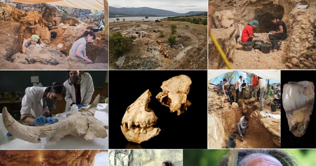 Neanderthalienii, vânători de femei și copii? Descoperirile șocante care scot la iveală o realitate cruntă a Europei preistorice