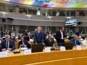 VIDEO Negrescu avertizează în Parlamentul European: România are nevoie de sprijin european pentru a opri tentativa de fraudare a identității