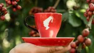 Cafeaua Julius Meinl: gust desăvârșit, obținut cu grijă pentru oameni și planetă