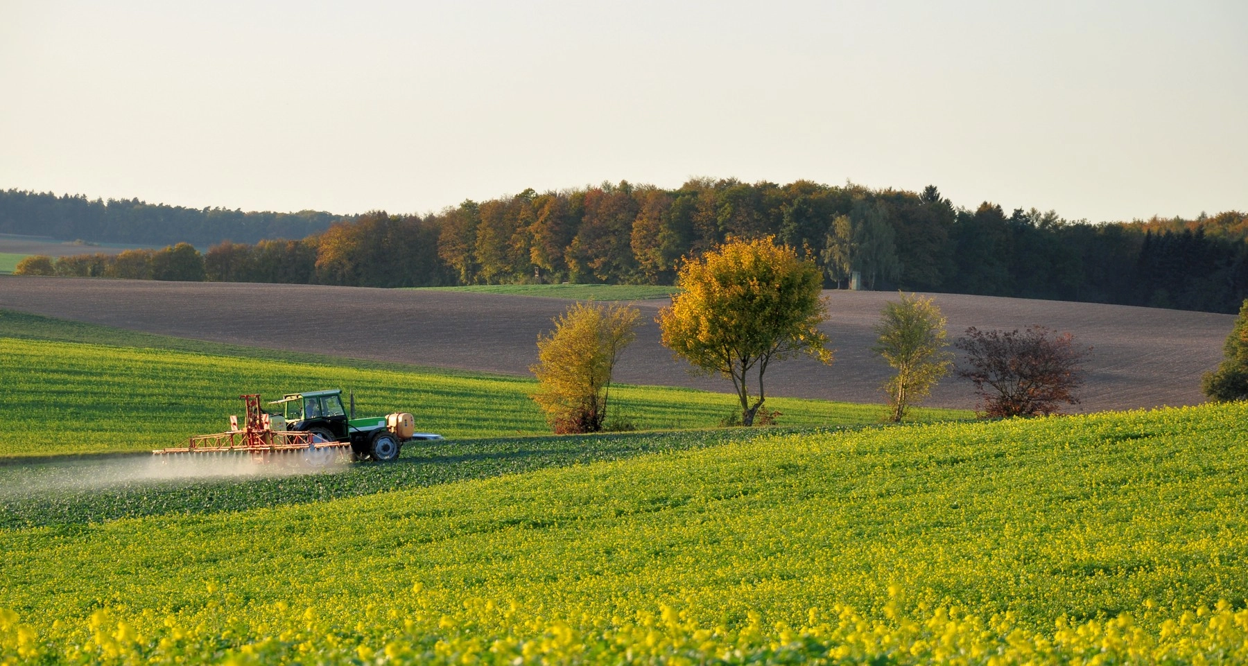Common Agricultural Policy is part of European treaties and must be protected (MEP Negrescu)