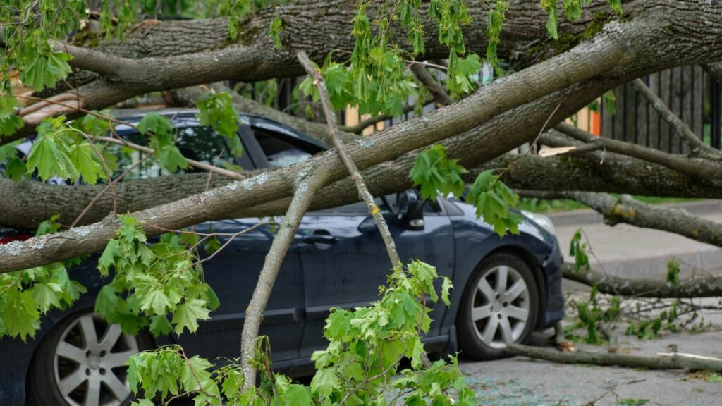 Furtună pe Valea Prahovei. Rafalele de vânt au doborât mai mulți copaci și au surprins un autoturism cu trei persoane