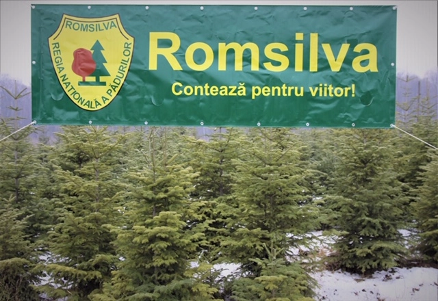 Venituri de aproape şapte milioane de euro din valorificarea produselor nelemnoase, vânătoare şi salmonicultură, la 11 luni pentru Romsilva