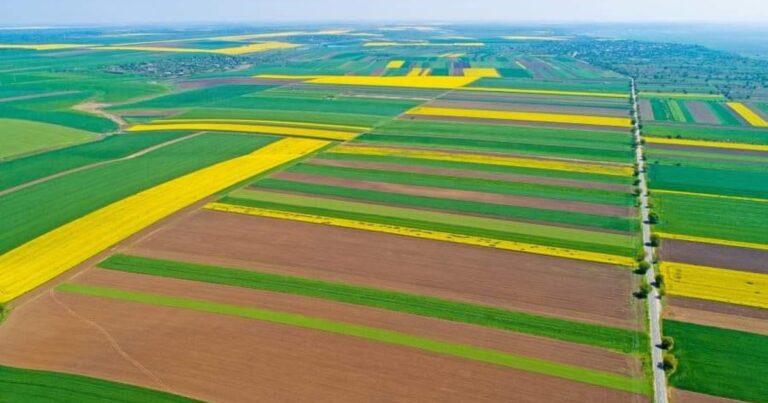 Cum a ajuns pământul agricol din România mai scump decât în Franța