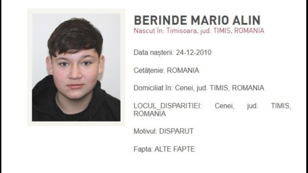 Încă un caz îngrozește România: Mario, 15 ani, a fost ucis de prietenii lui cu toporul. L-au îngropat și au tăiat o găină, justificând sângele