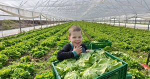 Fermierii au o idee simplă care poate salva hrana românească: „Clientul poate cu un singur click să vadă de unde este roșia”