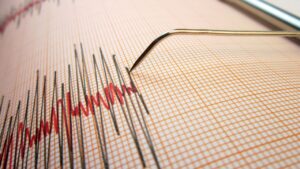 Cutremur, vineri seara, în România. În ce zonă s-a produs și ce magnitudine a avut