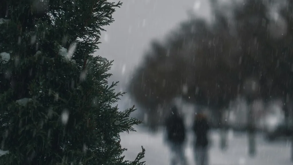 Alertă meteo de Cod Galben de ger. Harta ANM cu zonele vizate. Vremea în București