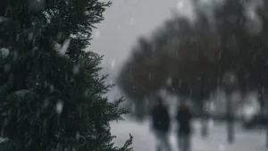 Alertă meteo de Cod Galben de ger. Harta ANM cu zonele vizate. Vremea în București