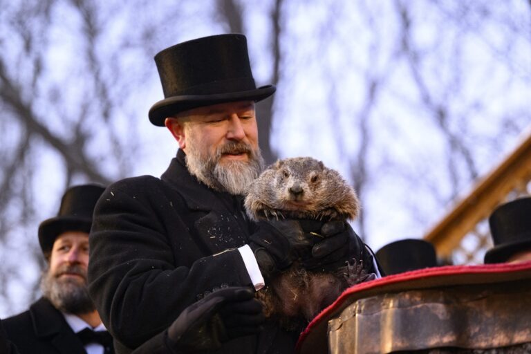 VIDEO Marmota Phil, devenită celebră odată cu filmul „Ziua Cârtiței”, a prezis când se va termina iarna în SUA