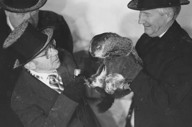 Celebra marmotă care ‘prezice’ vremea și-a văzut umbra de Ziua Cârtiței. Cât ar mai dura iarna