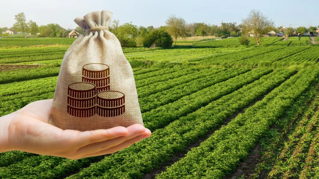 O companie olandeză vrea să plece din România. A scos la vânzare 800 de hectare de terenuri agricole și o fabrică în zona Sebeș