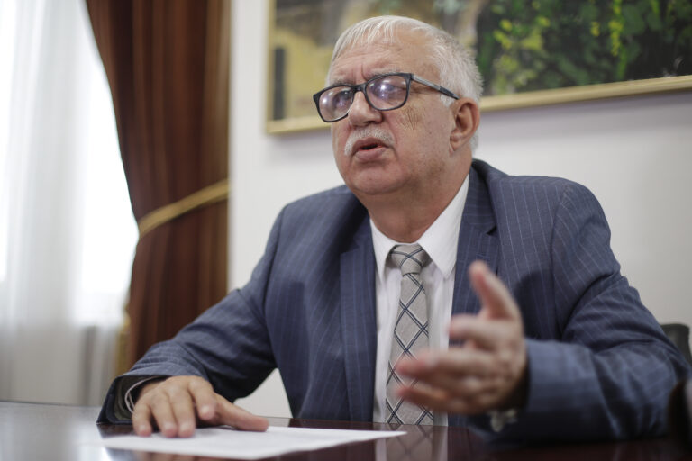 „Va dura cam doi ani amânarea”. Un fost președinte CCR explică ce se întâmpla dacă demersul ÎCCJ are succes