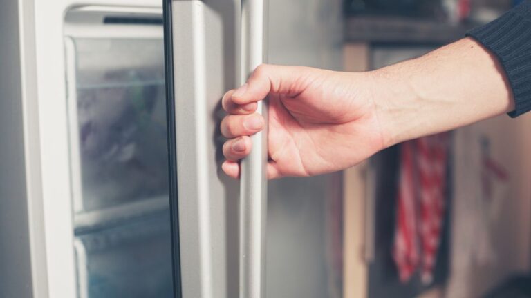 Doi bebeluși au fost găsiți într-un congelator în Franța. Mama lor a recunoscut că i-a înghețat la o lună după naștere