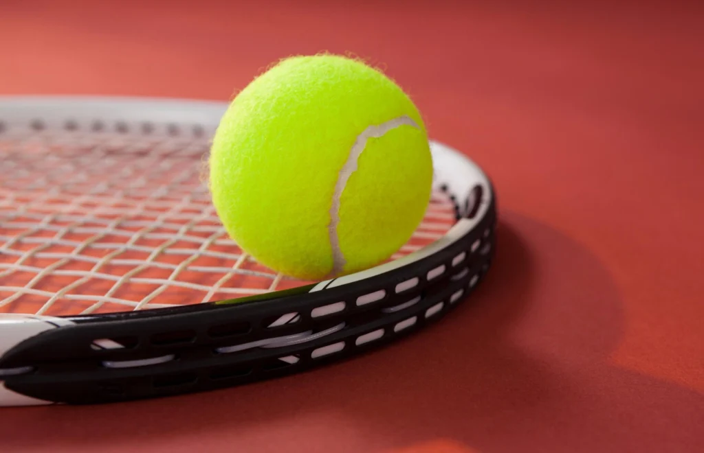 Karolina Muchova, din nou campioană: Victorie în finala de la Doha și primul titlu WTA 1000 din carieră