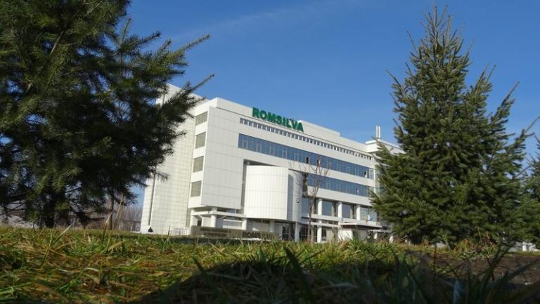Numărul directorilor din Romsilva, redus la jumătate / Fără „operatori de xerox” în direcțiile silvice
