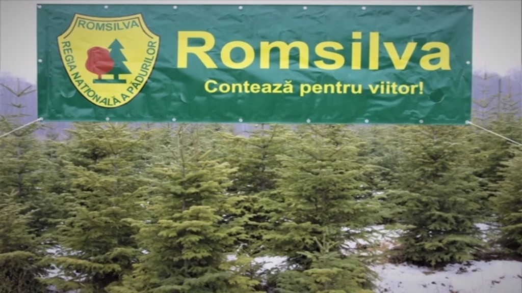 Romsilva to regenerate 7,112 hectares of state-owned forest this spring