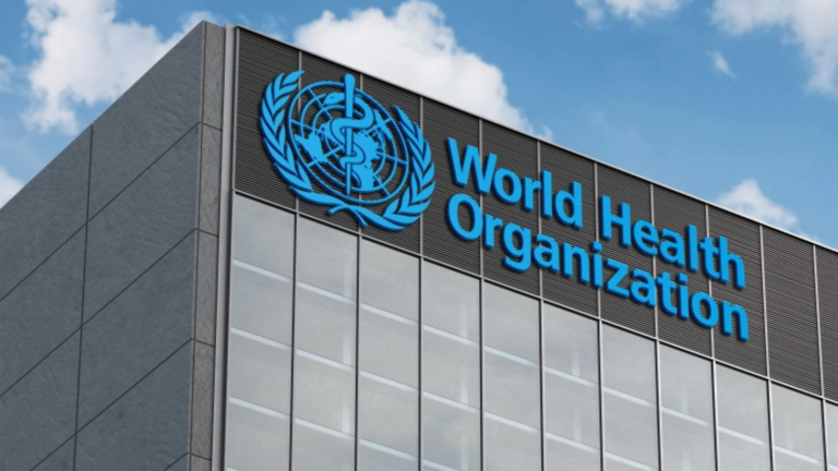 Aproximativ 4,9 milioane de copii au murit în 2024, avertizează ONU