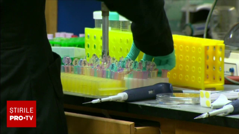 Noi cazuri de malarie în România. Doi copii din Africa au fost diagnosticați după ce au ajuns în Iași, la o rudă
