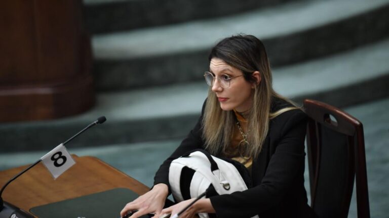 Diana Buzoianu a propus modificarea Codului penal privind hărțuirea sexuală