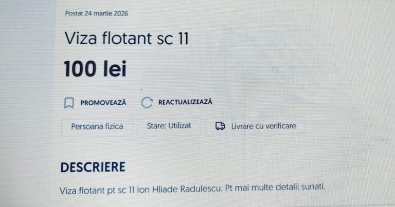 Cum scăpăm de vizele de flotant? „Nu există școli atât de bune încât să merite să-ți crești copilul în trafic”